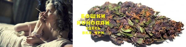 сатива Абаза